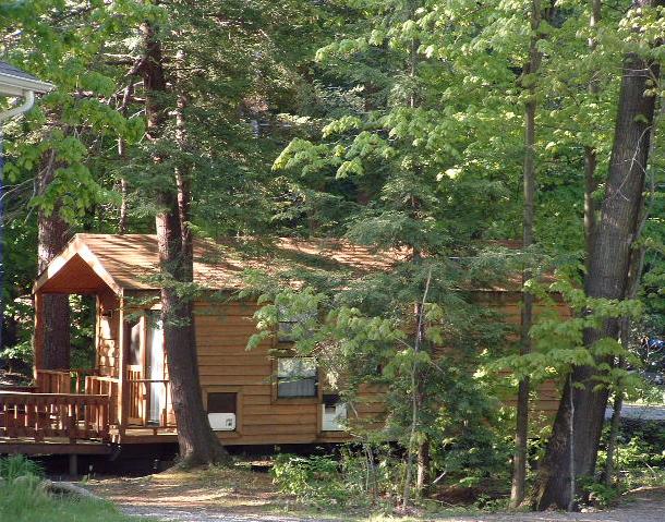 CABININTREES1.JPG